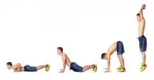 Burpee