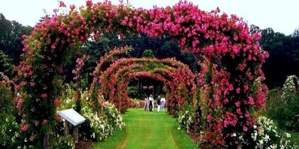 ROSE GARDEN - Best places to visit in Chandigarh