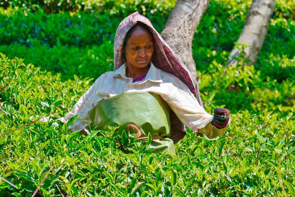 Unique Places To Visit Kerala