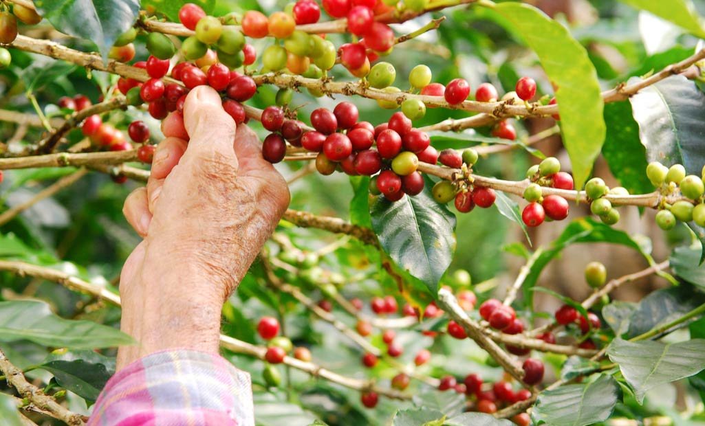 Unique Places To Visit Kerala