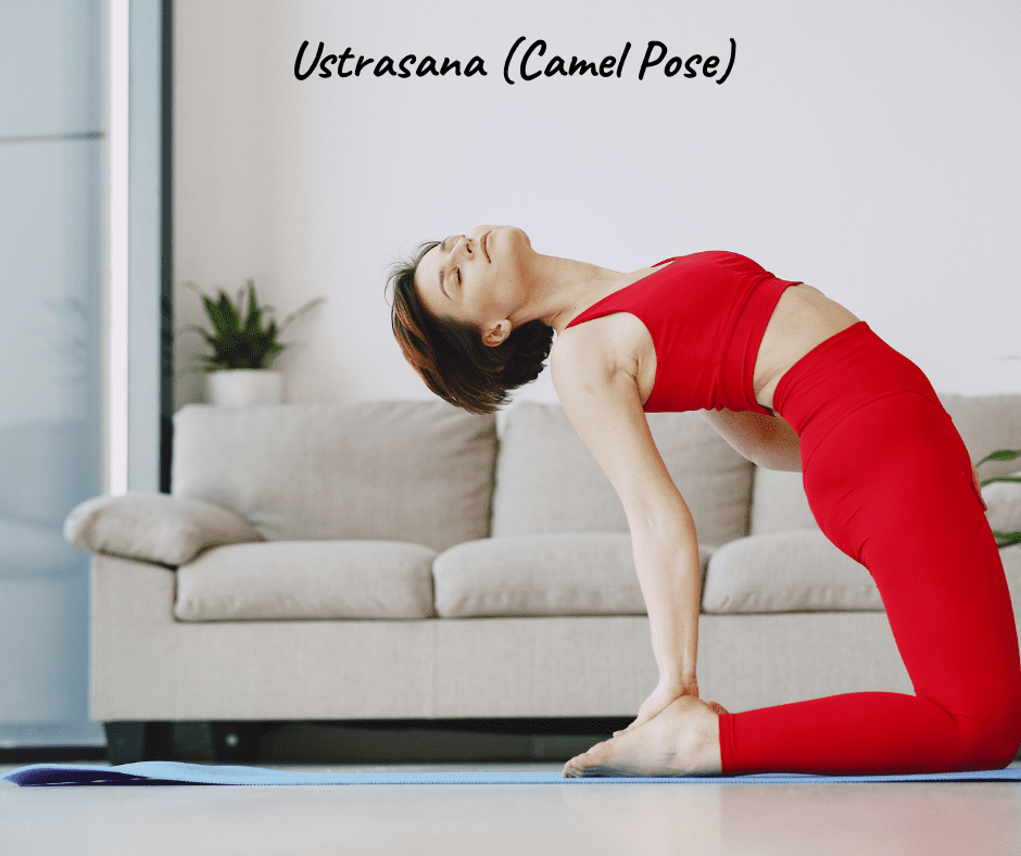 Ustrasana (Camel Pose)