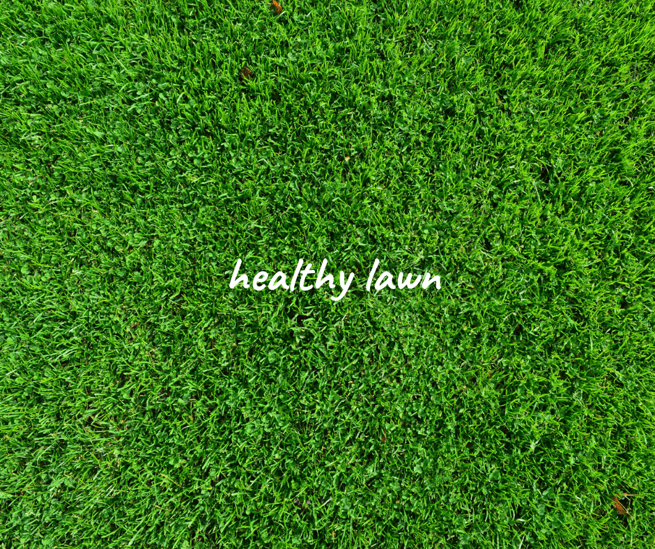 ORGANIC GARDENING TIPS