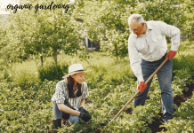 ORGANIC GARDENING TIPS