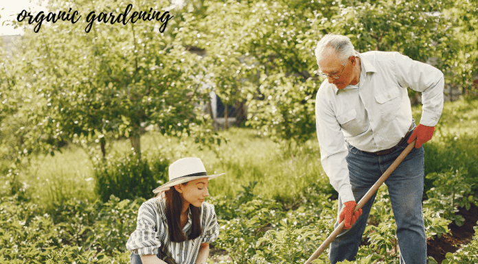 ORGANIC GARDENING TIPS
