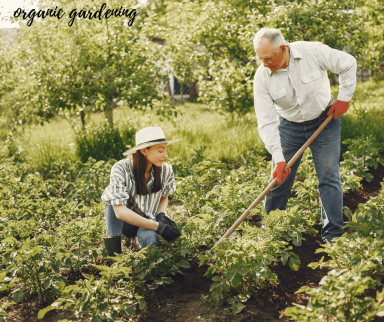 ORGANIC GARDENING TIPS