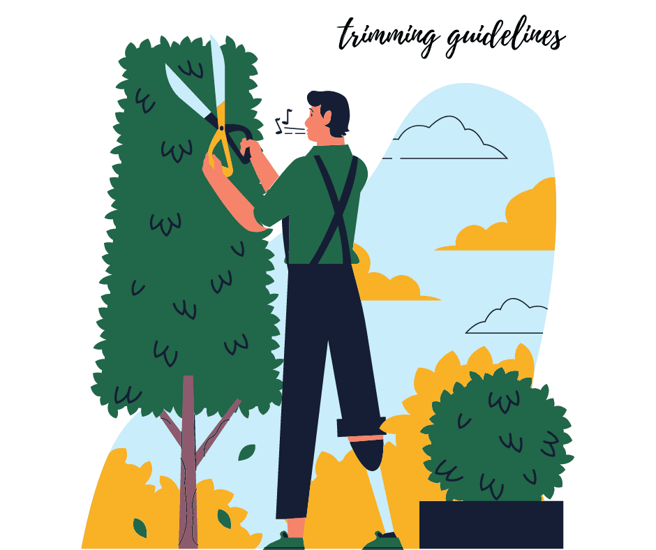 ORGANIC GARDENING TIPS