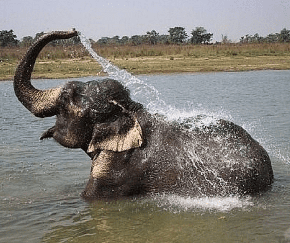 13 wonderful things to do in Goa