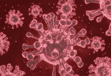 COVID-19 और फ्लू Covid -19