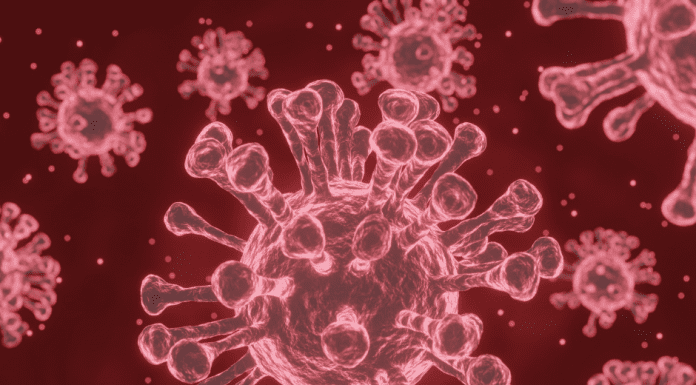 COVID-19 और फ्लू Covid -19