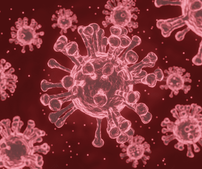 Covid - 19 Covid -19