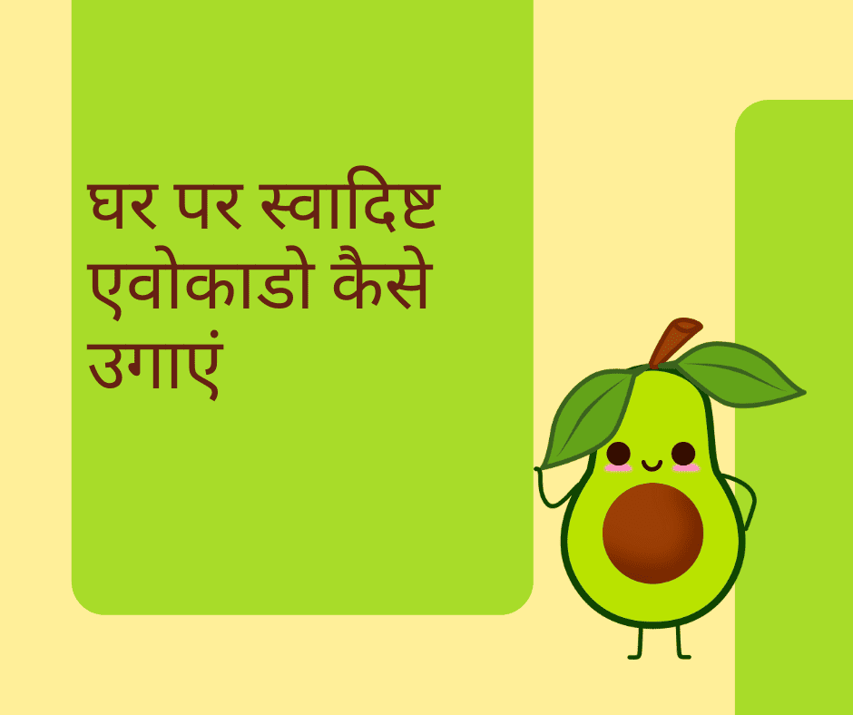 Simple Ways to Waste Less in The Kitchen Every Day