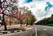 City Beautiful Chandigarh City Beautiful Chandigarh