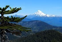 Top Destinations to Explore in Himachal Pradesh during Summer 2023 Top Destinations to Explore in Himachal Pradesh