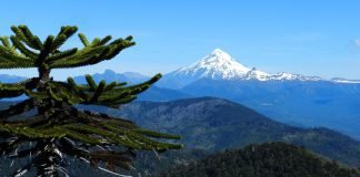 Top Destinations to Explore in Himachal Pradesh during Summer 2023 Top Destinations to Explore in Himachal Pradesh