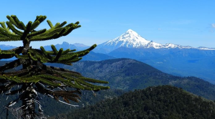 Top Destinations to Explore in Himachal Pradesh during Summer 2023 Top Destinations to Explore in Himachal Pradesh