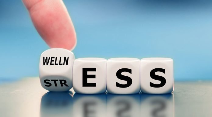 What are the Impact of Stress on Your Health and Well-being Impact of Stress
