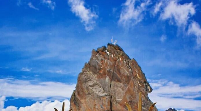 A Journey to Remember: The Complete Guide to Experiencing the Shrikhand Mahadev Trek in 2023 Shrikhand Mahadev Trek