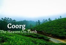 In The Lap of Nature: Discovering the Beauty of Coorg, Karnataka Coorg