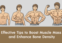 Effective Tips to Boost Muscle Mass and Enhance Bone Density Bone Density