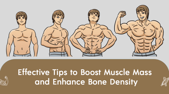 Effective Tips to Boost Muscle Mass and Enhance Bone Density Bone Density