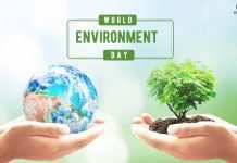 From Awareness to Action: Celebrating World Environment Day 5 June, 2023 World Environment Day