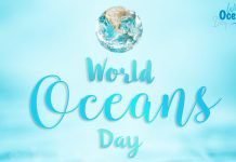 World Oceans Day 2023: Date, Theme, History and Its Global Impact World Oceans Day