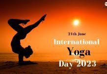 International Yoga Day 2023: All You Need to Know About the Date, Themes, and Benefits Yoga Day