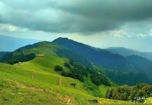 Karsog Valley: Discovering the Serenity of Himachal Pradesh’s Hidden Gem Karsog Valley