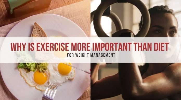Why is Exercise More Important than Diet for Weight Management Weight Management