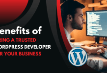 Benefits of Hiring a Trusted WordPress Developer for Your Business WordPress Developer
