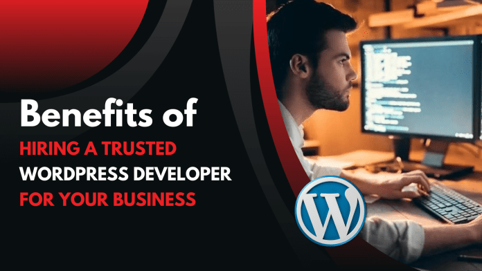 WordPress Developer WordPress Developer