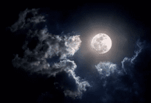 Sharad Purnima 2024: How to Celebrate the Auspicious Night for Health and Wealth Sharad Purnima 2024