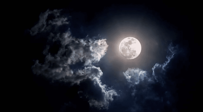 Sharad Purnima 2024: How to Celebrate the Auspicious Night for Health and Wealth Sharad Purnima 2024