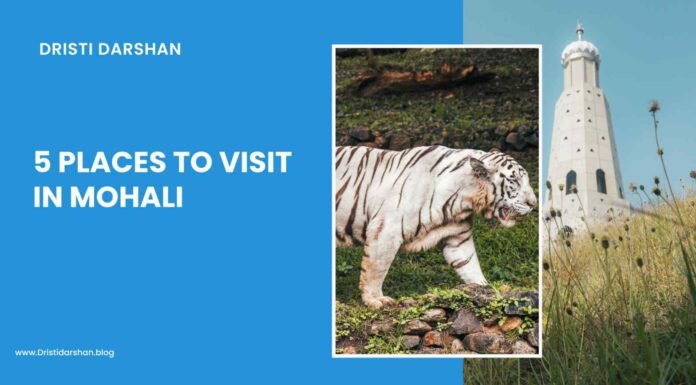 5 Best Places to Visit in Mohali 2026