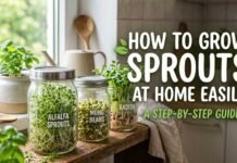How to Grow Sprouts at Home Easily